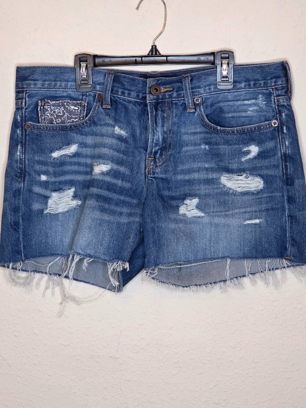 Lucky Brand "The Cut Off" Women's Denim Shorts, Size 8/29
